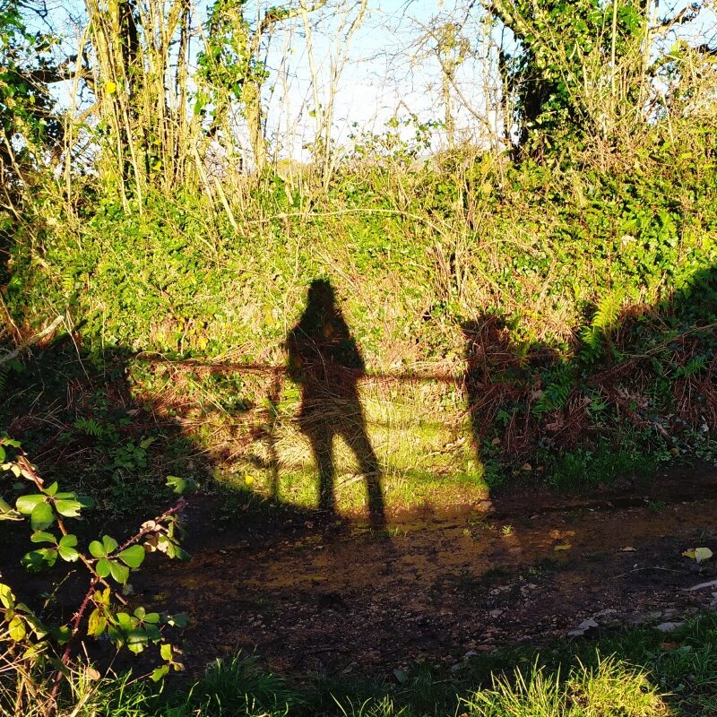 A landscape picture in a rural setting showing a shadow of a person against the sunlight tree line.